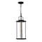 Cwi Lighting Greenwood LED Outdoor Black Pendant 0407P6-1-101 - alternate 5